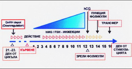 http://www.zachatie.org/images/protokoli1.gif