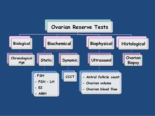 Шест теста за определяне на яйчниковия резерв и какво Ви казват те?